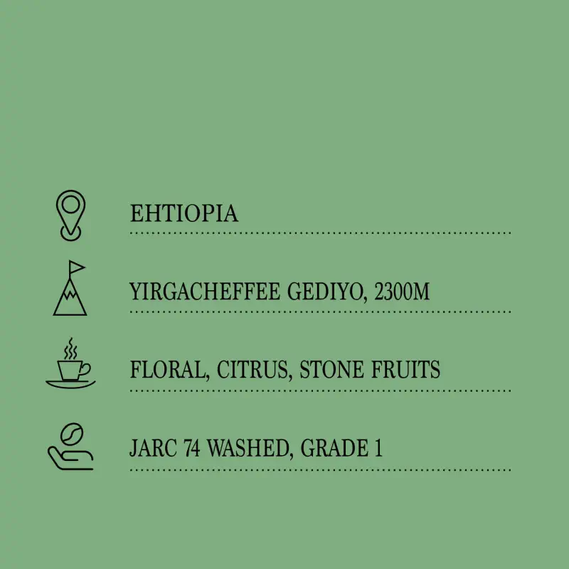 coffe-ethiopia-gargari